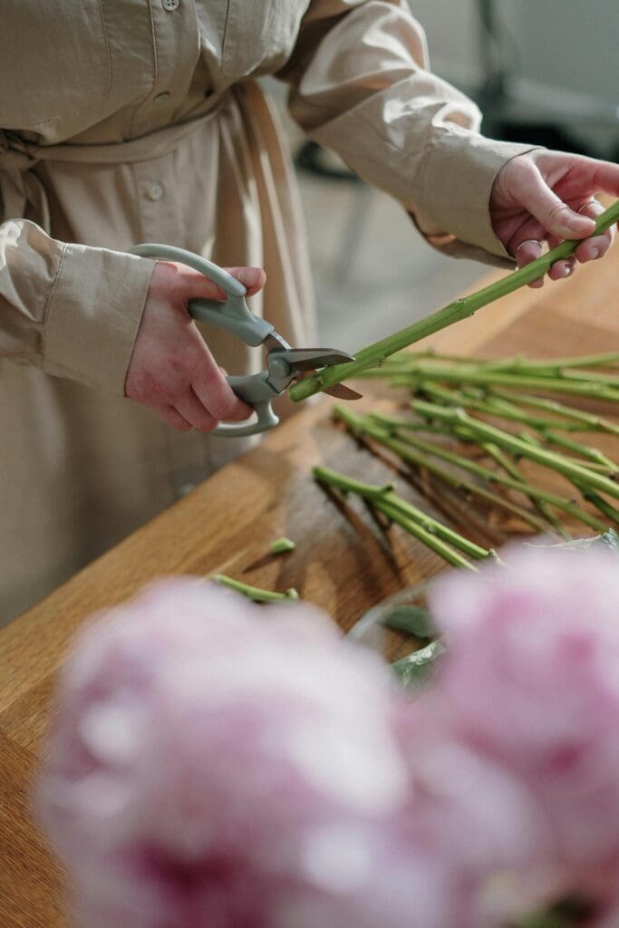Florist trimming pink flowers for a wedding's bridal bouquet